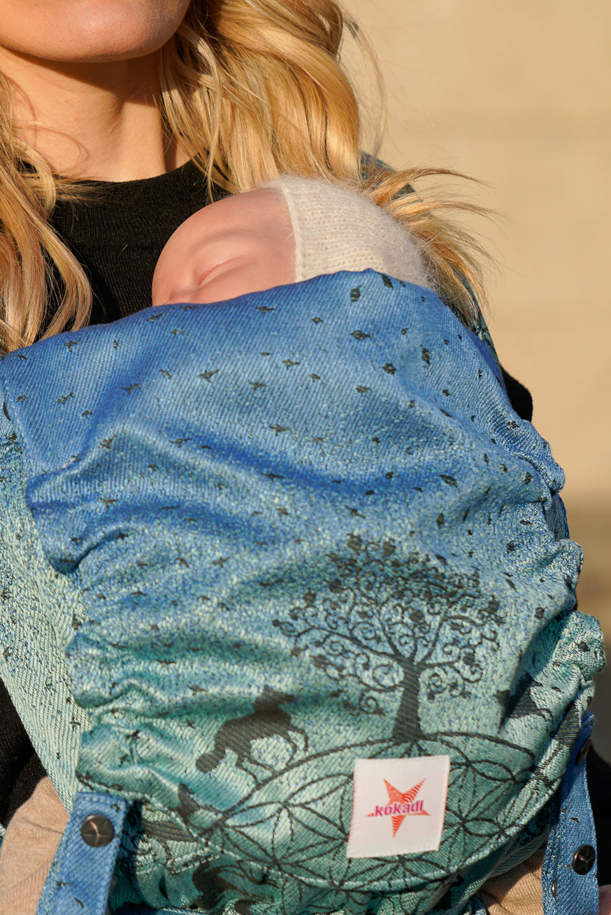 Baby Carrier Onbu Amadeus nel Warse Wonderland