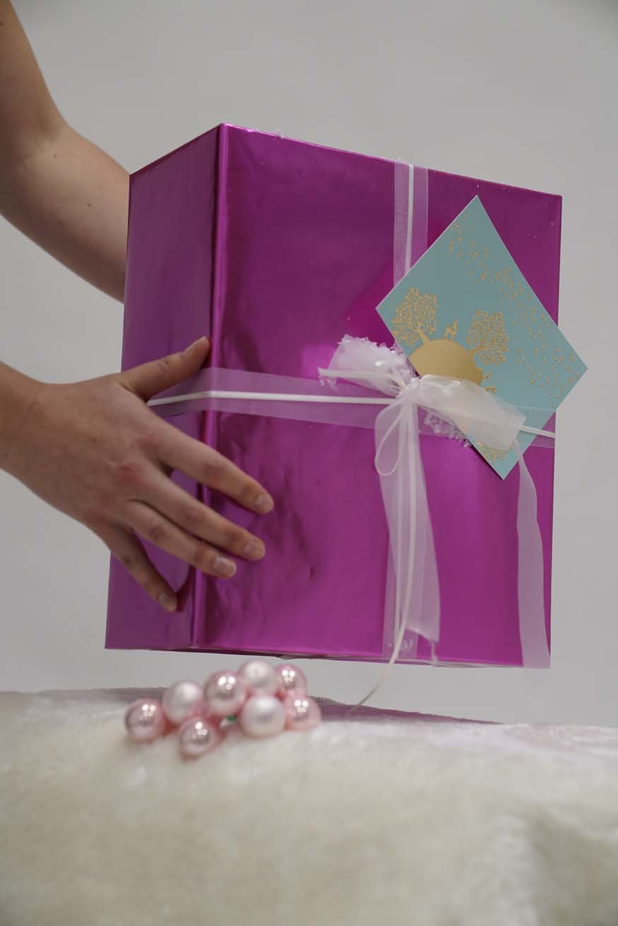 Certificazione di consulente specializzato nel trasporto - Pacchetto base - KOKADI