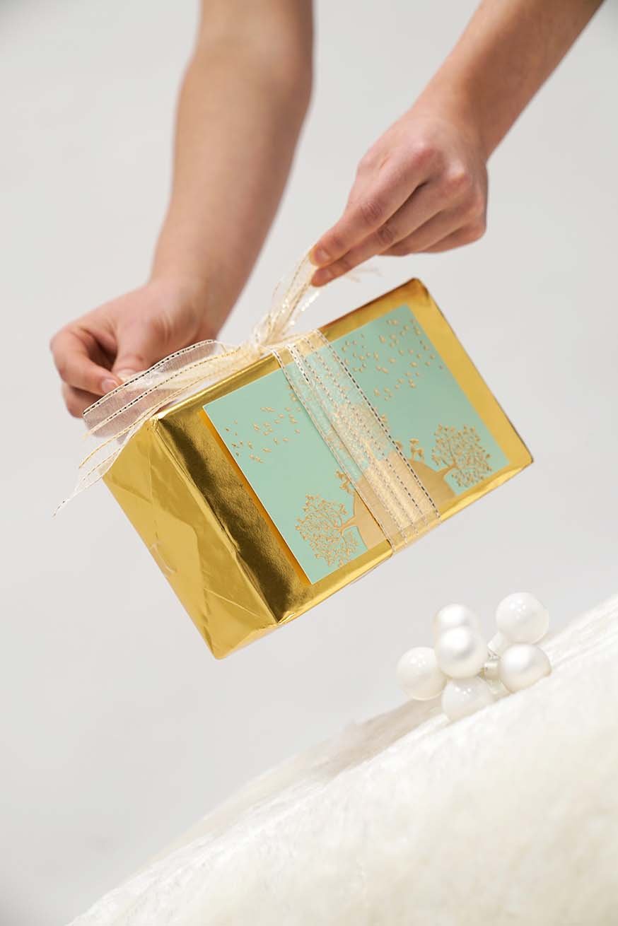 Certificazione di consulente specializzato nel trasporto - Pacchetto Premium - KOKADI